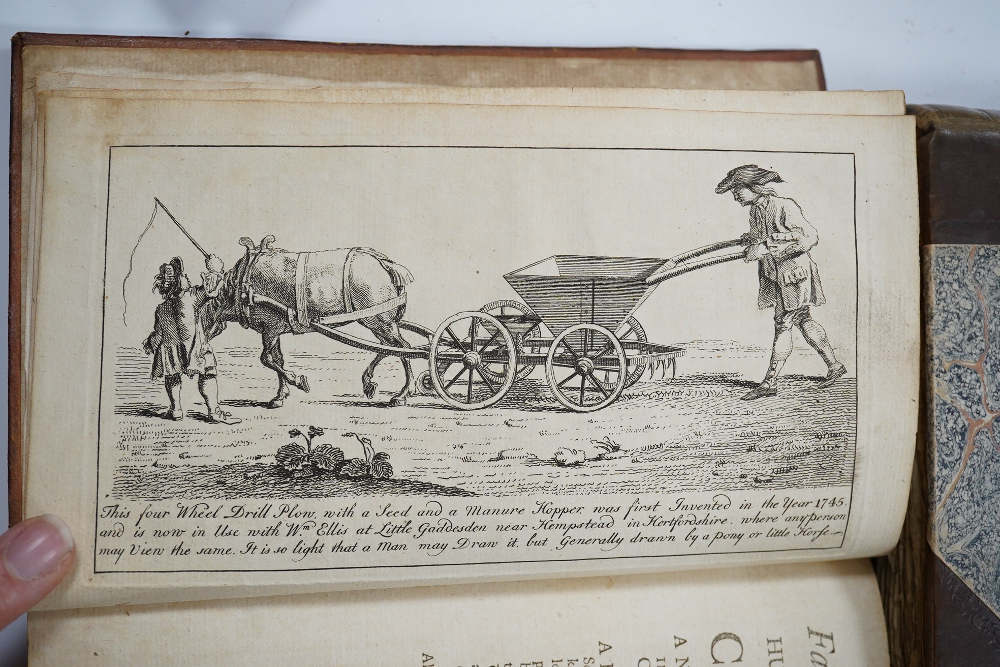 Banister, John - A Synopsis of Husbandry. Being cursory observations in the several branches of rural economy....folded table; rebound chocolate half morocco and paper boards, gilt lettered panelled spine. 1799; Harrison